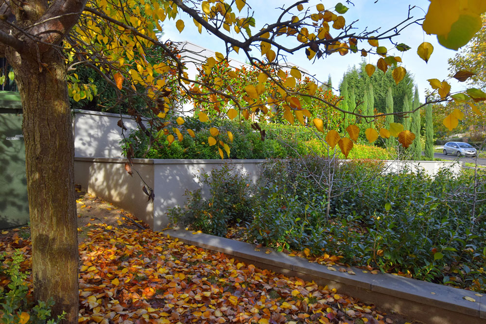 residential-geelong-highton-large